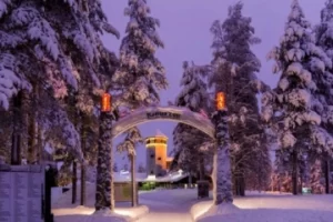 Private transfer between Rovaniemi and Ranua Wildlife Park